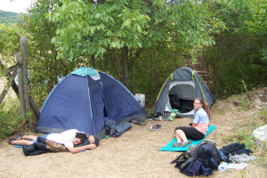 2012 Perseidák