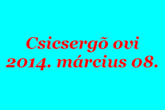 csicserg-ovi-000.jpg